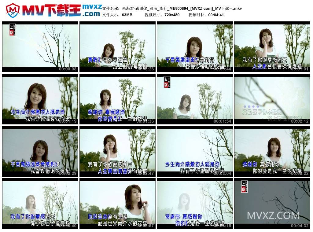 朱海君-感谢你_闽南_流行_ME900894